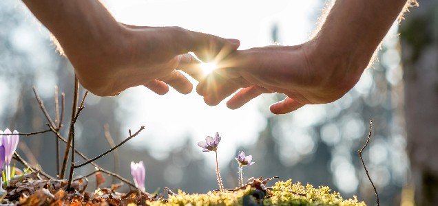 Весна, як екзамен для тіла. Чому загострюються хвороби?