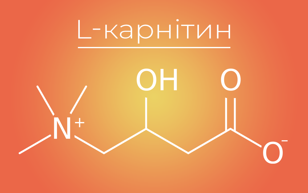 Що таке L-карнітин і як він впливає на організм?