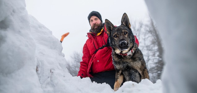 Холод, як виклик для простати