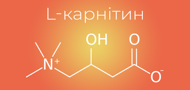 Що таке L-карнітин і як він впливає на організм?