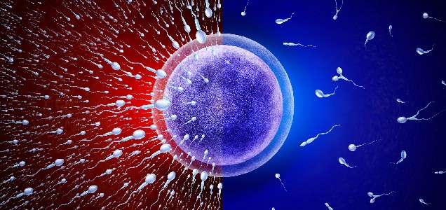 10 років довіри: чому Новофертил є вибором лікарів і пар, які планують батьківство